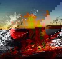 Black Dog Brewery - Restaurant Darwin