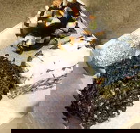 Frollicking Frog - Restaurant Darwin