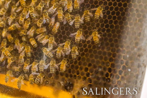 Salingers Cafe - Restaurant Darwin 2