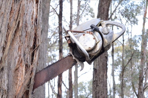 Mount Buninyong Winery - Restaurant Darwin 2