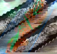 Verrano - Restaurant Darwin