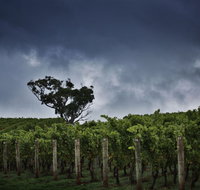 Dalrymple Vineyards - Restaurant Darwin