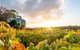 Hahndorf Hill Winery - thumb 0