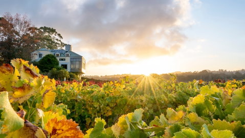 Hahndorf Hill Winery - Restaurant Darwin 0