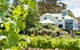 Hahndorf Hill Winery - thumb 2