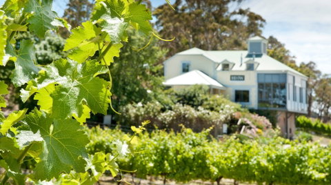 Hahndorf Hill Winery - Restaurant Darwin 2