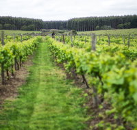 Suffoir Winery Brewery and Cidery - Restaurant Darwin