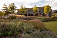 Barossa Valley Estate Cellar Door  Gardens