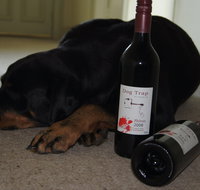 Dog Trap Vineyard - Restaurant Darwin