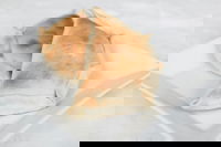 Latin Foods and Wines