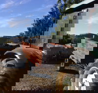 Massena - Restaurant Darwin