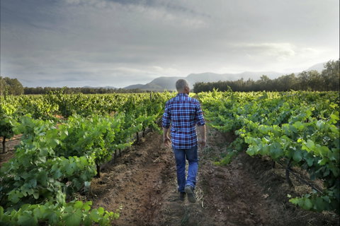 Thomas Wines - Restaurant Darwin 2