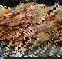 Tori Tori - Restaurant Darwin