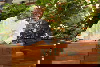 View by Matt Golinski