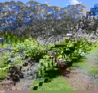 Woongooroo Estate Winery - Restaurant Darwin