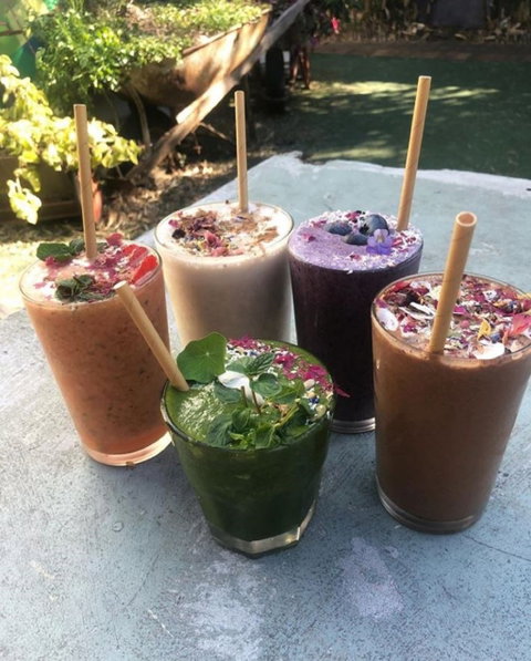 Garden Grub Cafe - Restaurant Darwin 0