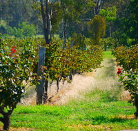 The Red Apron Gourmet Kitchen - Restaurant Darwin