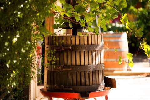 Gibson Barossa - Restaurant Darwin 1