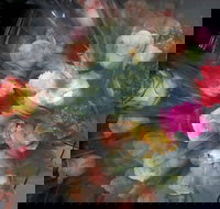 Ink Cafe - Restaurant Darwin