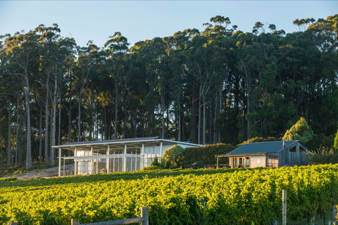 Moores Hill Estate - Restaurant Darwin 0