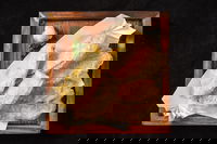 Moyashi