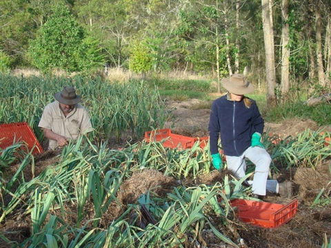 Sweet Water Farm - Restaurant Darwin 0