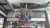 Chill Cafe Palm Cove