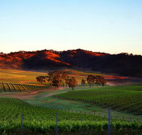 Dalwhinnie Wines - Restaurant Darwin