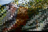 Pure Peninsula Honey