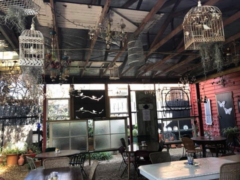 Vintage On Melbourne - Restaurant Darwin 1