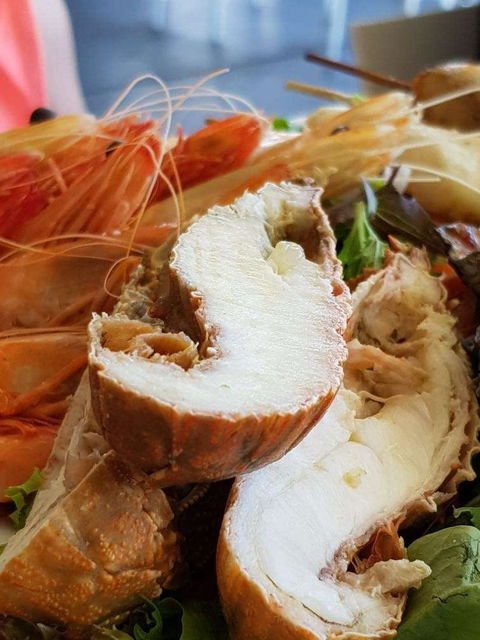 Bribie Island Surf Club - Restaurant Darwin 0