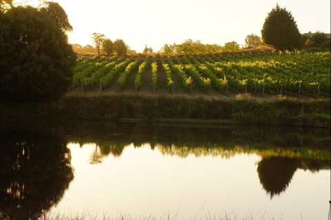 Brook Eden Vineyard - Restaurant Darwin 2