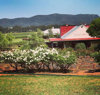 Hanging Tree Wines - Restaurant Darwin