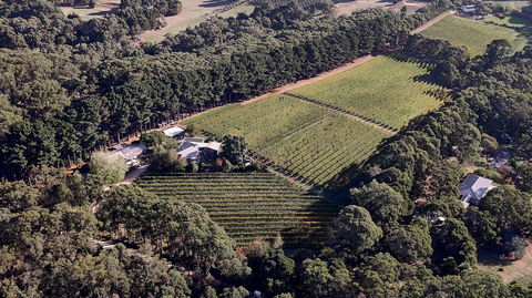 Main Ridge Estate - Restaurant Darwin 1