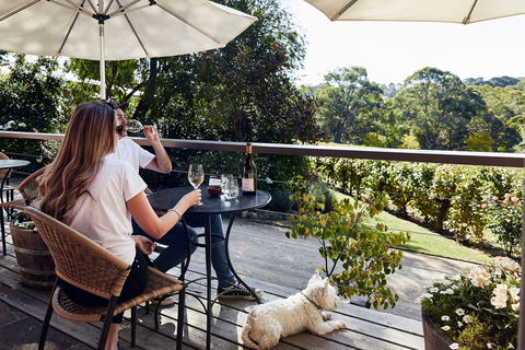 Main Ridge Estate - Restaurant Darwin 2