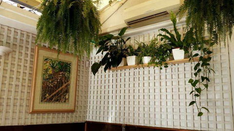 Plane Tree Cafe - Restaurant Darwin 0