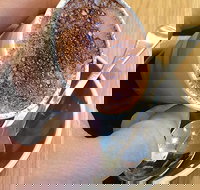 Gordon's Cafe - Restaurant Darwin