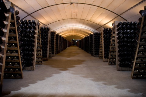 Domaine Chandon - Restaurant Darwin 2