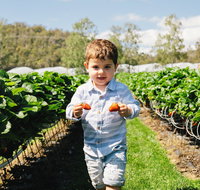 Hillwood Berries Farmgate Pick Your Own - Restaurant Darwin