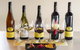 Petaluma Cellar Door - thumb 1