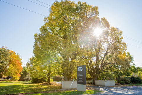 Brown Brothers Milawa Vineyard - Restaurant Darwin 0