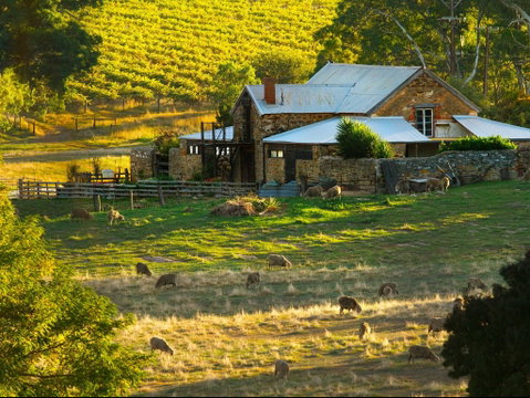 Hutton Vale Farm - Restaurant Darwin 1