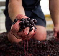 Tomfoolery Wines - Restaurant Darwin