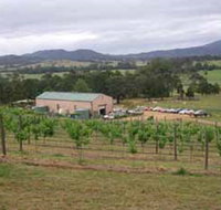 Villa d Esta Vineyard - Restaurant Darwin
