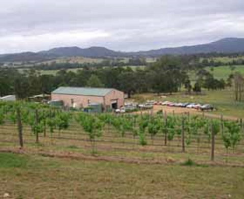 Villa D Esta Vineyard - Restaurant Darwin 0