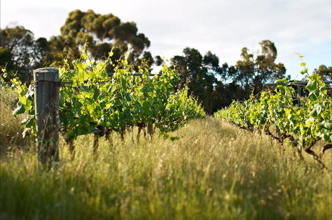 Happs Winery And Pottery - Restaurant Darwin 0