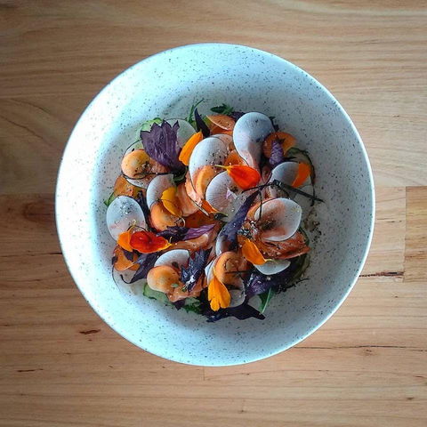 Pachinko - Restaurant Darwin 0