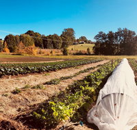 Synchronicity Farm - Restaurant Darwin