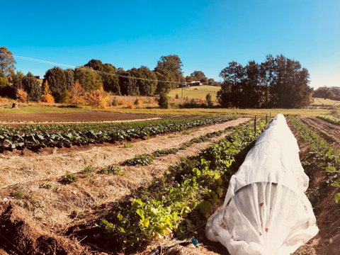 Synchronicity Farm - Restaurant Darwin 0