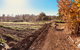 Synchronicity Farm - thumb 1